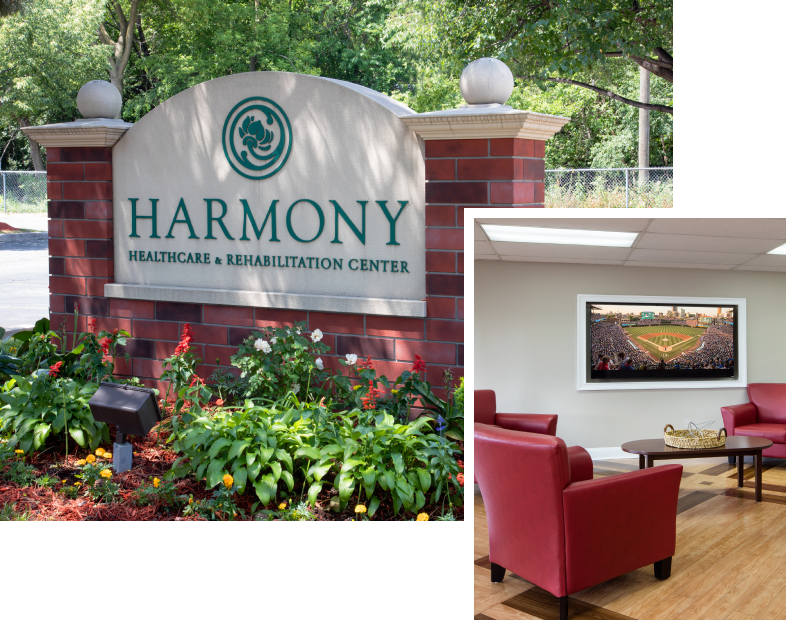 harmony chicago collage2